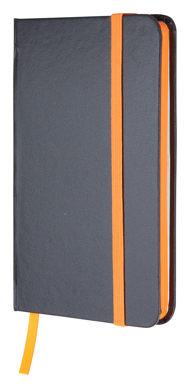 Kolly notebook (AP810377-03)